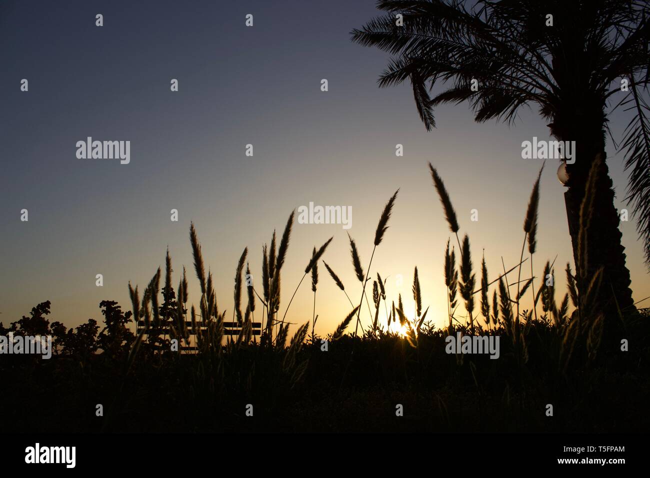 Kuwait sunrise vista da spiaggia Foto Stock