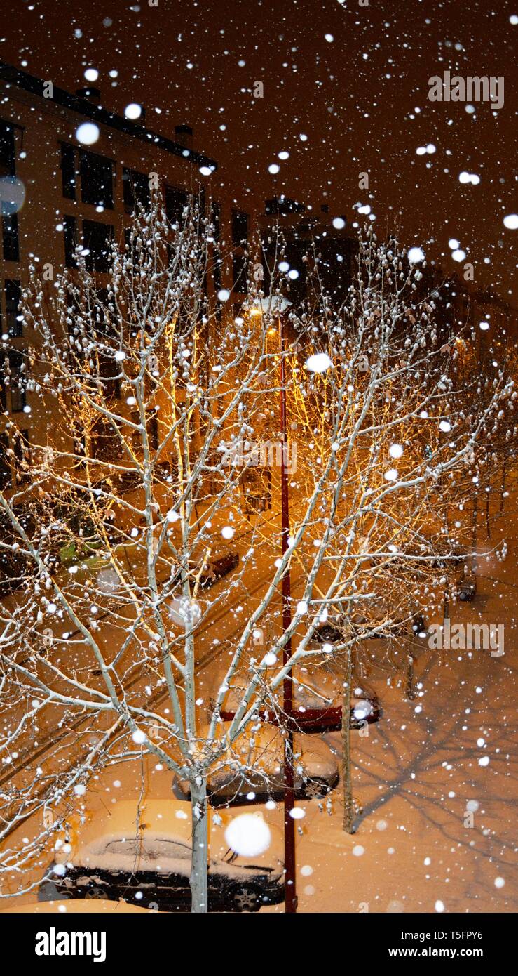 Nevicava, fiocchi di neve caduta durante la notte sull'albero, su vetture e su strada, tutto è coperto di neve Foto Stock