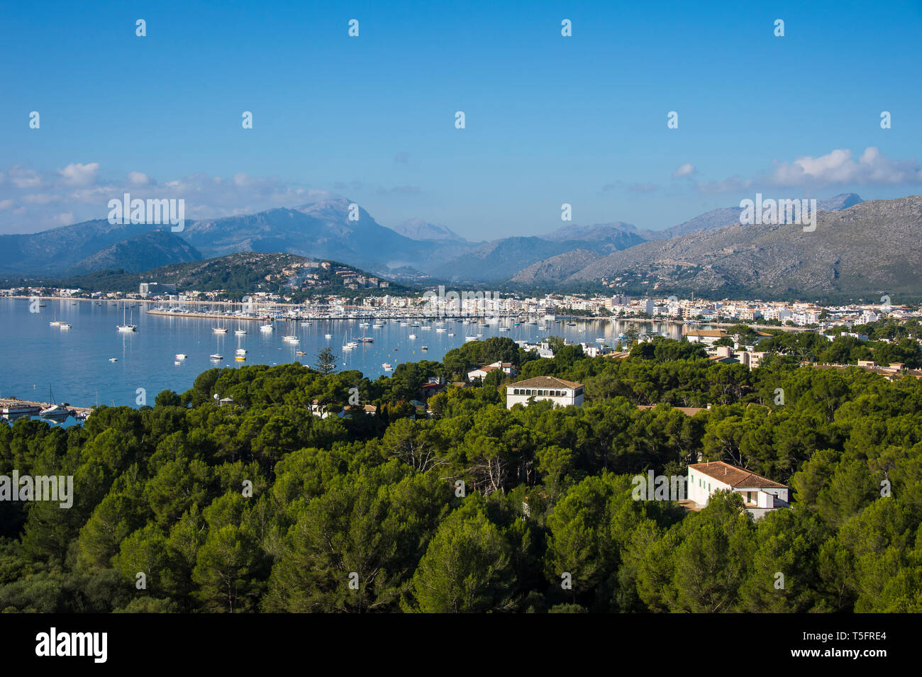 Spagna, Baleares, Mallorca, Port de Pollenca, baia con le barche a vela Foto Stock