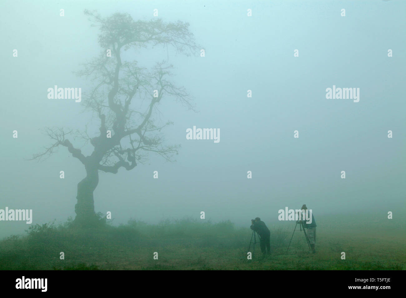 Fotografo di scattare le foto dalla fotocamera in mattina presto, Andhra Pradesh, India, Asia Foto Stock