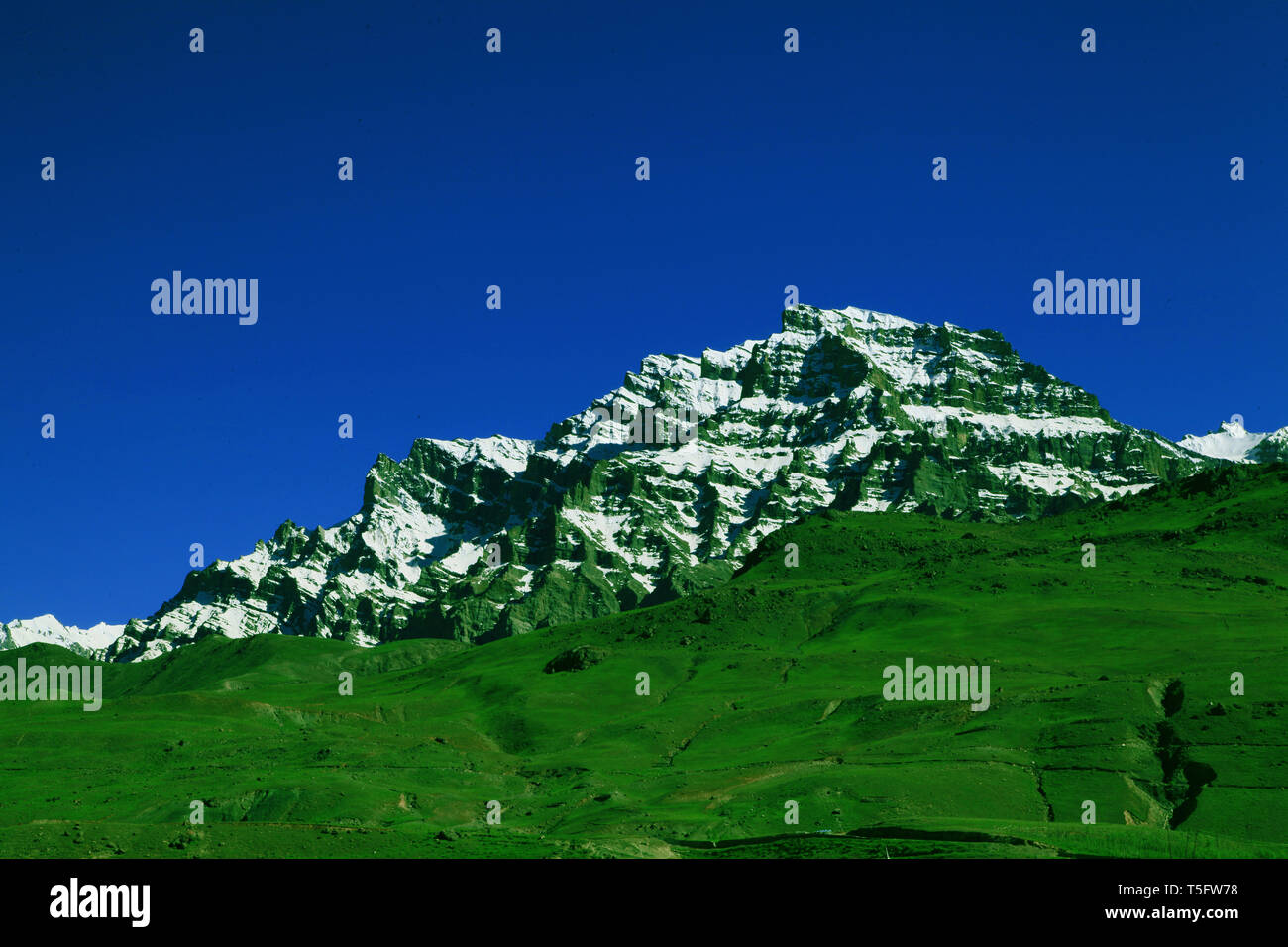 Coperta di neve montagna, Himalaya, Jammu e Kashmir, India, Asia Foto Stock