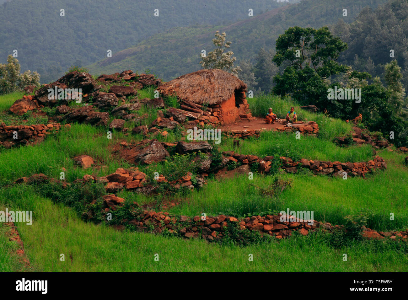 Capanna tribali, Visakhapatnam, Andhra Pradesh, India, Asia Foto Stock