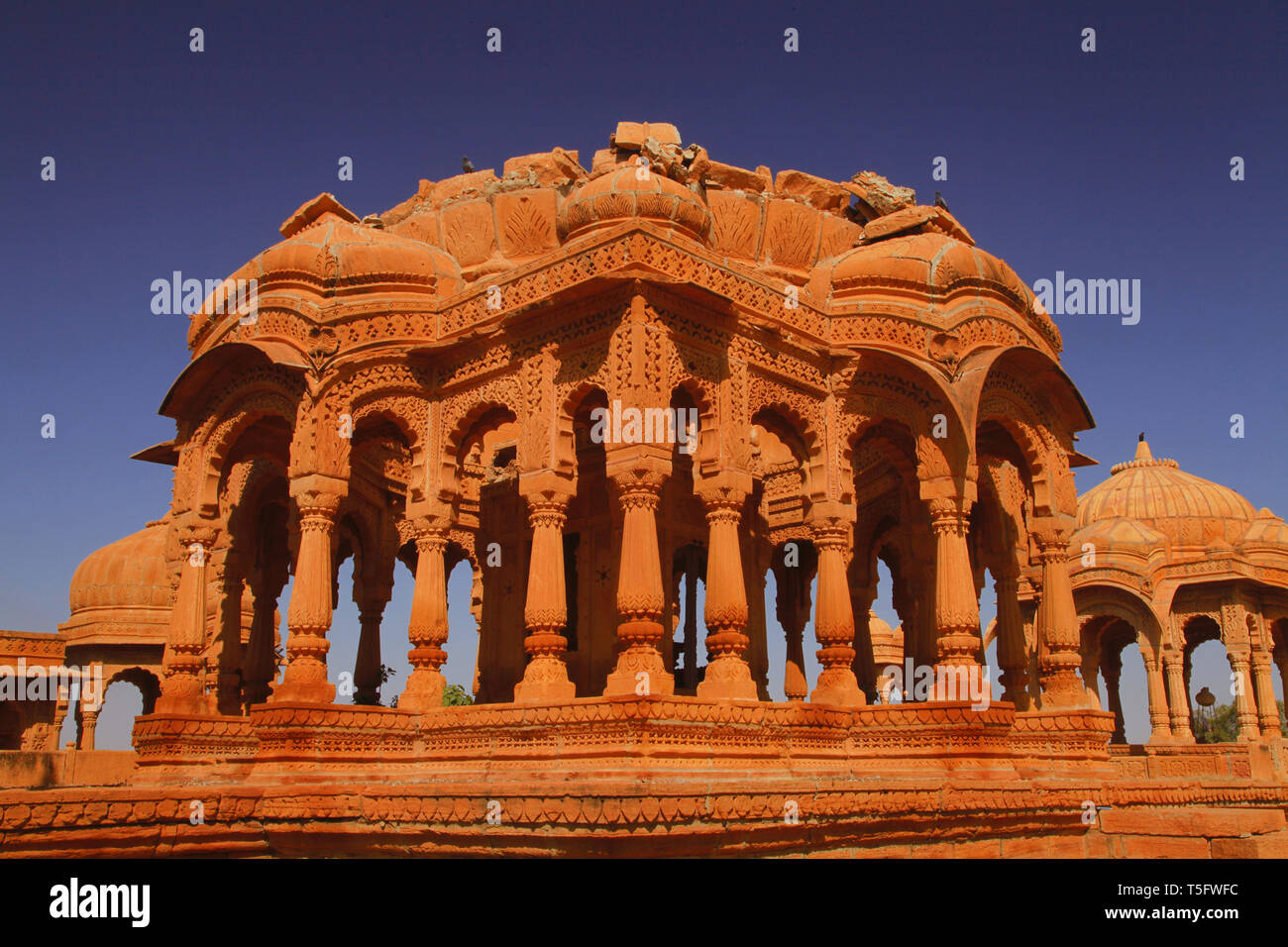 Cenotaphs Badabagh, jaisalmer, Rajasthan, India, Asia Foto Stock