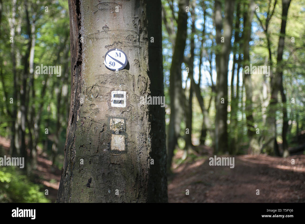 Un Wanderzeichen einem Baum im Wald bei Mülheim Mintard. Foto Stock