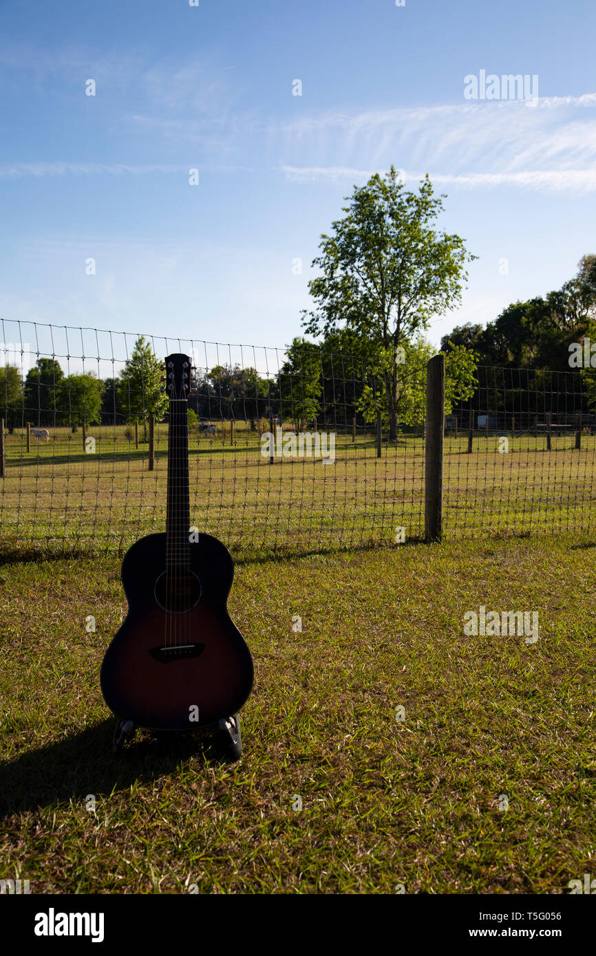 Chitarra in un campo Paese Foto Stock