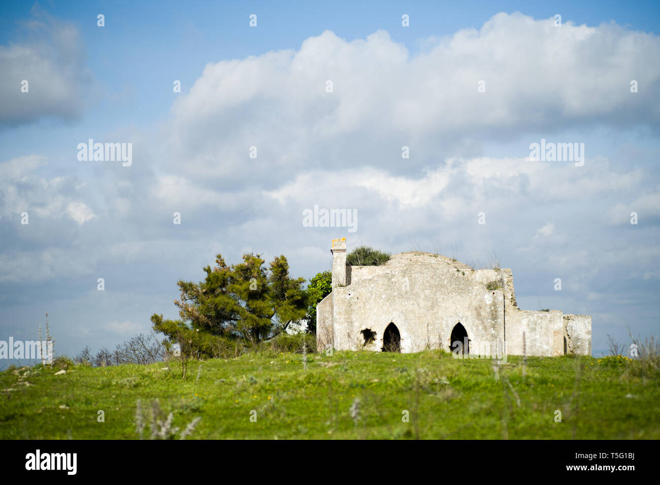 Rovine sotto le nuvole con struttura ad albero e erba verde Foto Stock