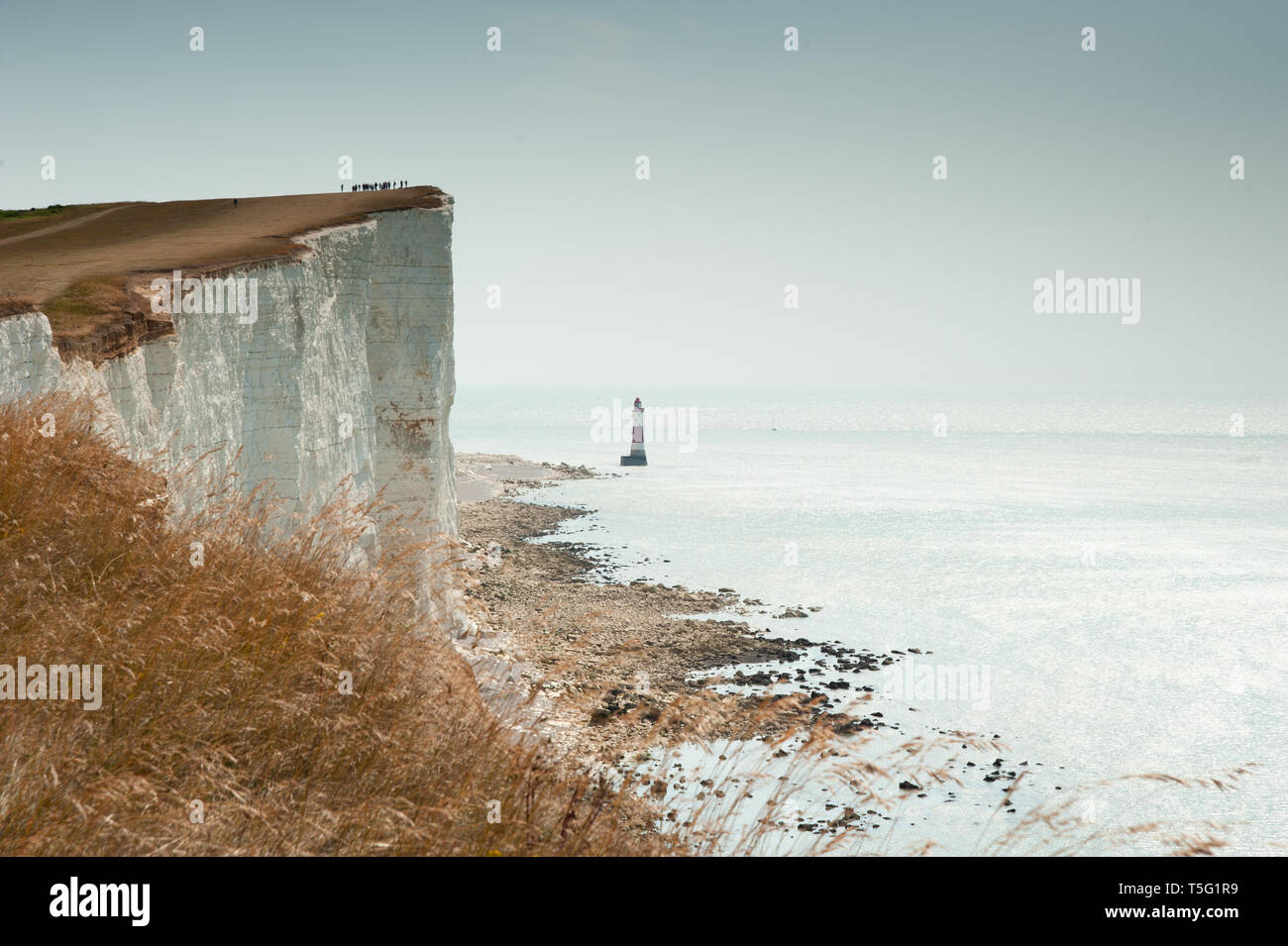 Beachy Head, Rupi costiere sulla costa sud dell'Inghilterra Foto Stock