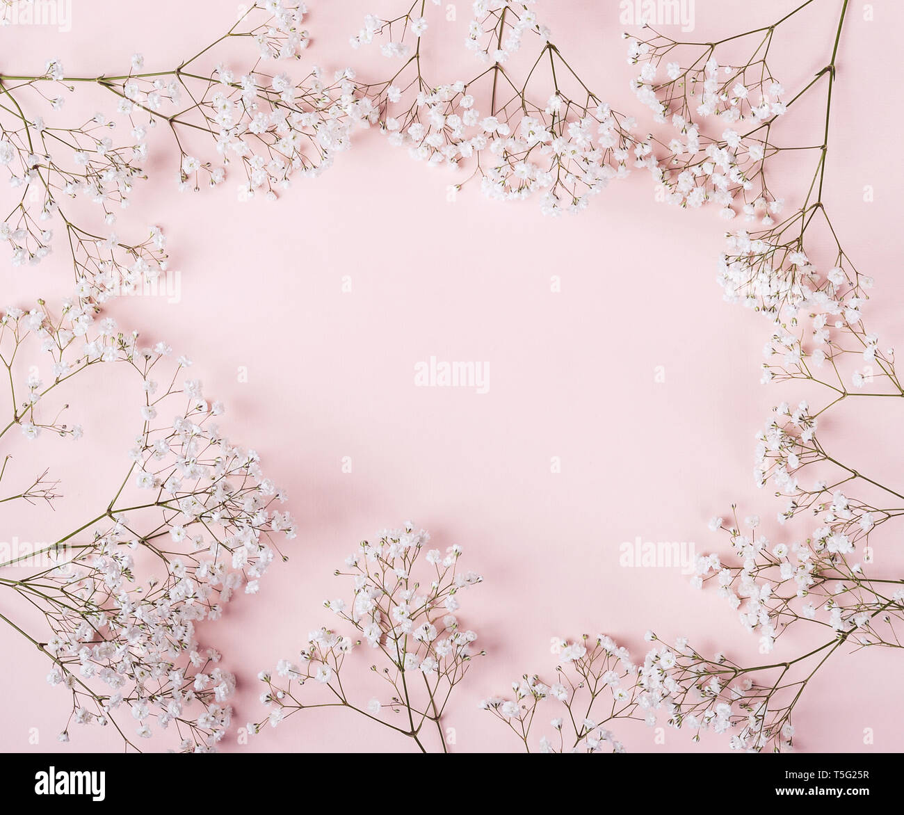Luce rosa pastello sfondo con fiori di colore bianco telaio. Foto Stock