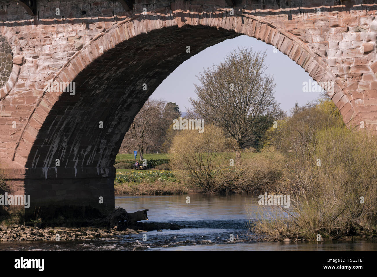 Viste di Perth come sole primaverile risveglia la natura in tutta la città della fiera. Foto Stock