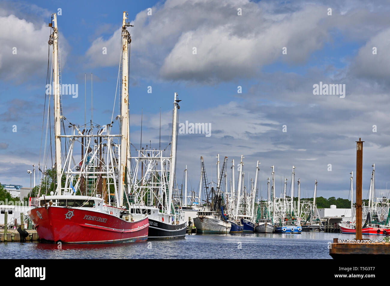 La pesca commerciale di imbarcazioni e natanti adibiti alla pesca di gamberetti legato, parte della flotta di pesca, il Bayou La Batre Alabama, Stati Uniti d'America. Foto Stock