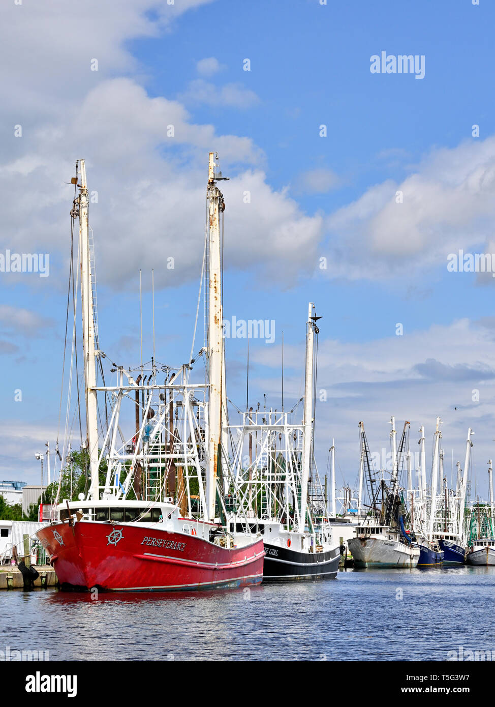 La pesca commerciale di imbarcazioni e natanti adibiti alla pesca di gamberetti legato, parte della flotta di pesca, il Bayou La Batre Alabama, Stati Uniti d'America. Foto Stock