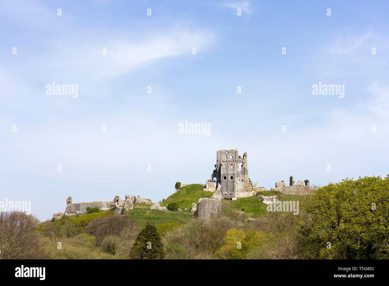 Corfe Castle in primavera, Dorset, England, Regno Unito Foto Stock