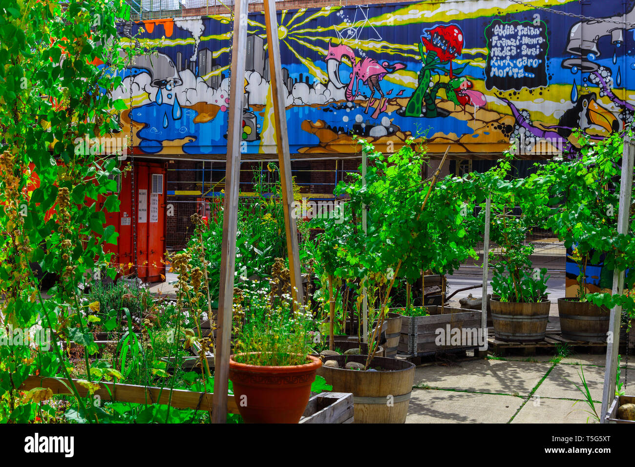Giardino dell'industria in una zona commerciale di Colonia Foto Stock