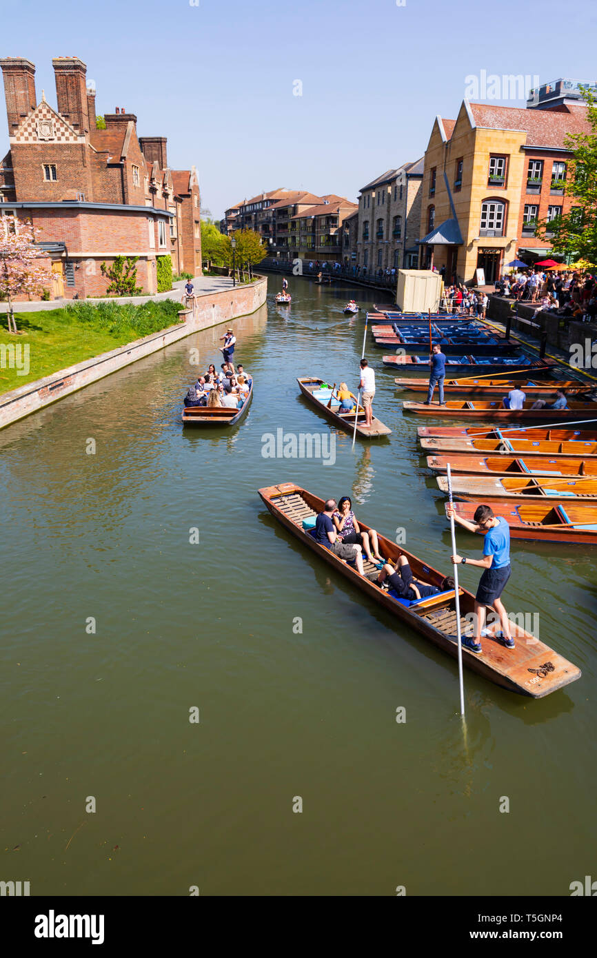 Gli scommettitori a Scudamore's Quay lungo il fiume Cam, città universitaria di Cambridge, Cambridgeshire, Inghilterra Foto Stock