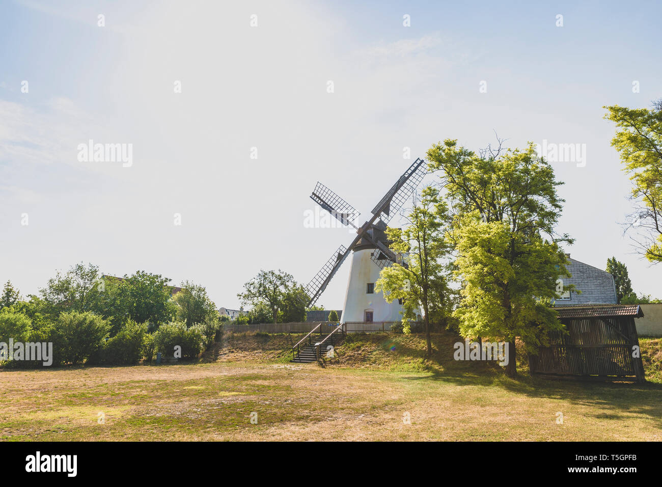 Austria, Burgenland, Podersdorf am See, mulino a vento Foto Stock