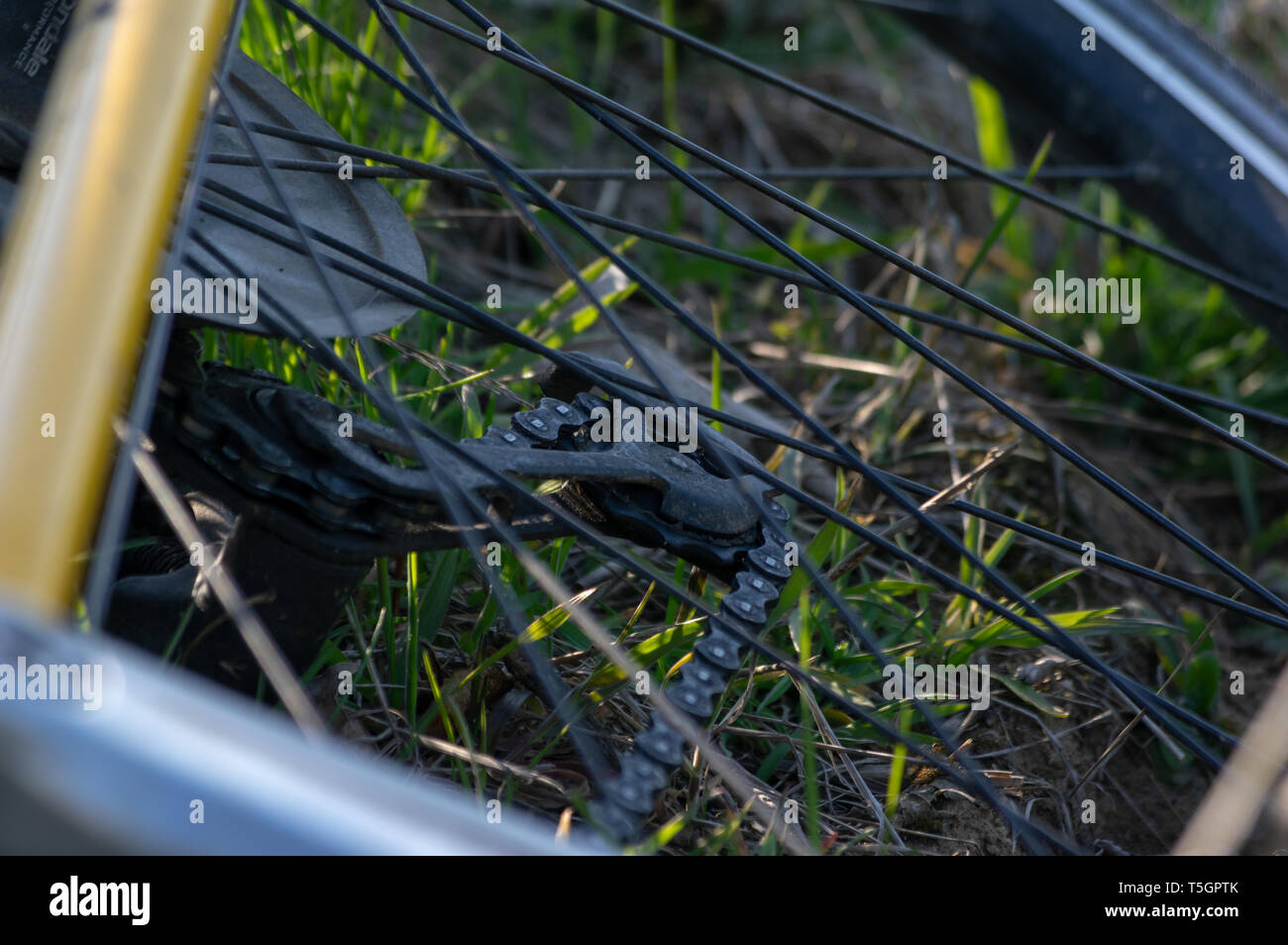 Immagine ravvicinata di un deragliatore posteriore di bicicletta che stabilisce in erba Foto Stock