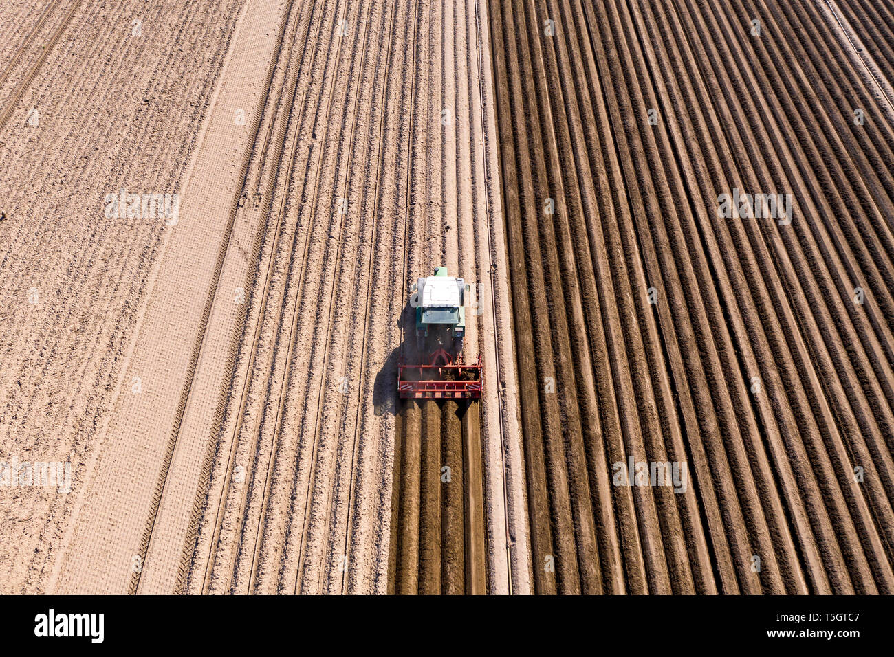 Germania, Hesse, vista aerea del trattore sul campo di asparagi Foto Stock