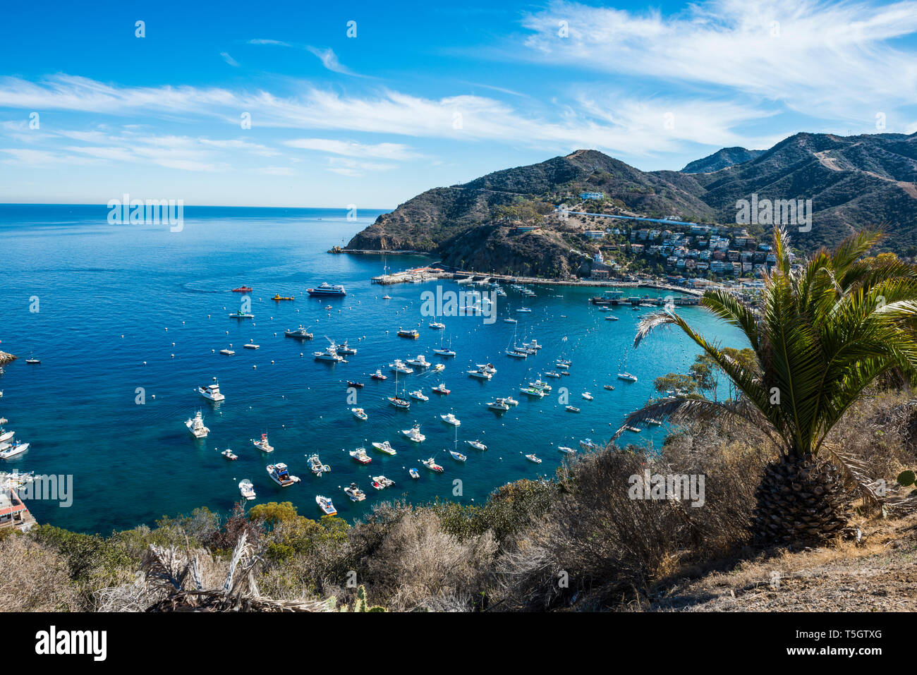 Stati Uniti, California, Isole del Canale e Isola di Santa Catalina, Avalon Foto Stock