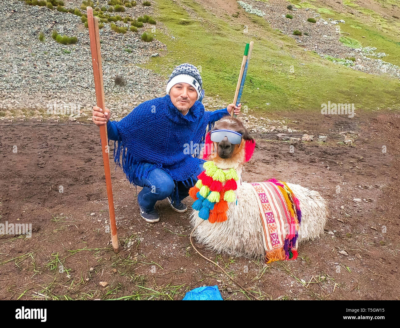 Vista di un divertente di alpaca con occhiali da sole e un turista intorno al Rainbow Mountain, Vinicunca, Cusco - Perù Foto Stock