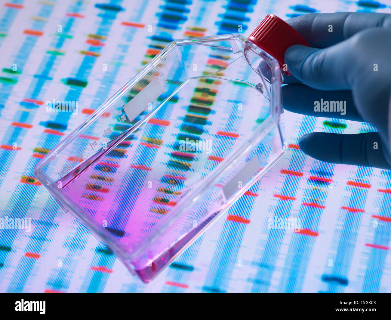 L ingegneria genetica, scienziato visualizzazione di cellule in coltura un vasetto con un DNA profili su una schermata di sfondo che illustra la modifica genetica Foto Stock