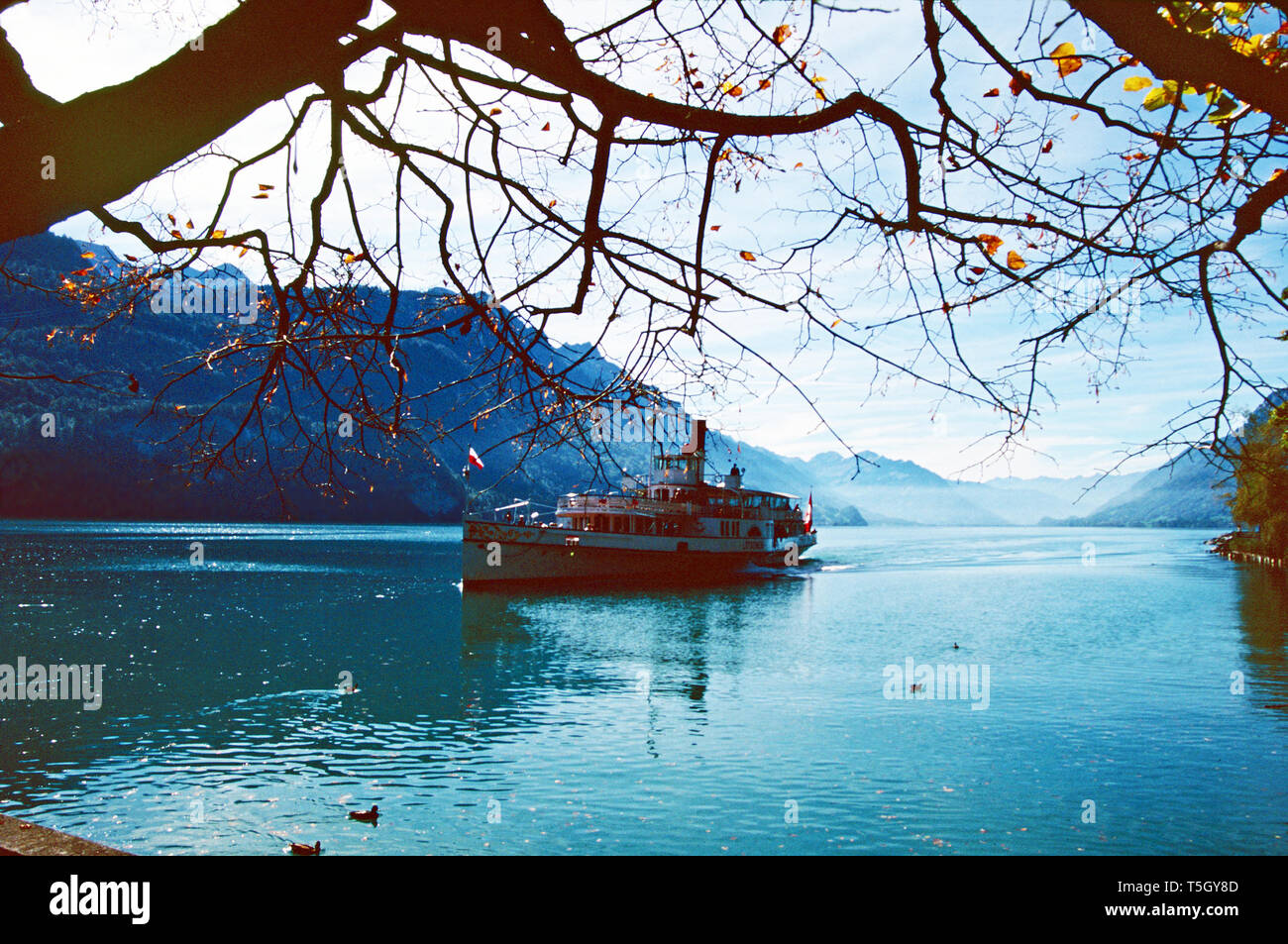 Il Lotschberg battello a vapore sul Lago di Brienz,Svizzera Foto Stock