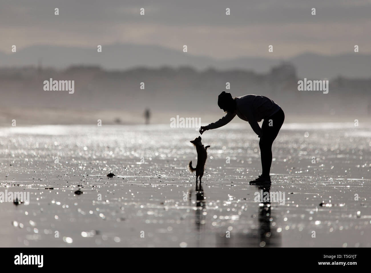 Spagna, Tarifa, silhouette di donna che gioca con il suo cagnolino sulla spiaggia Foto Stock