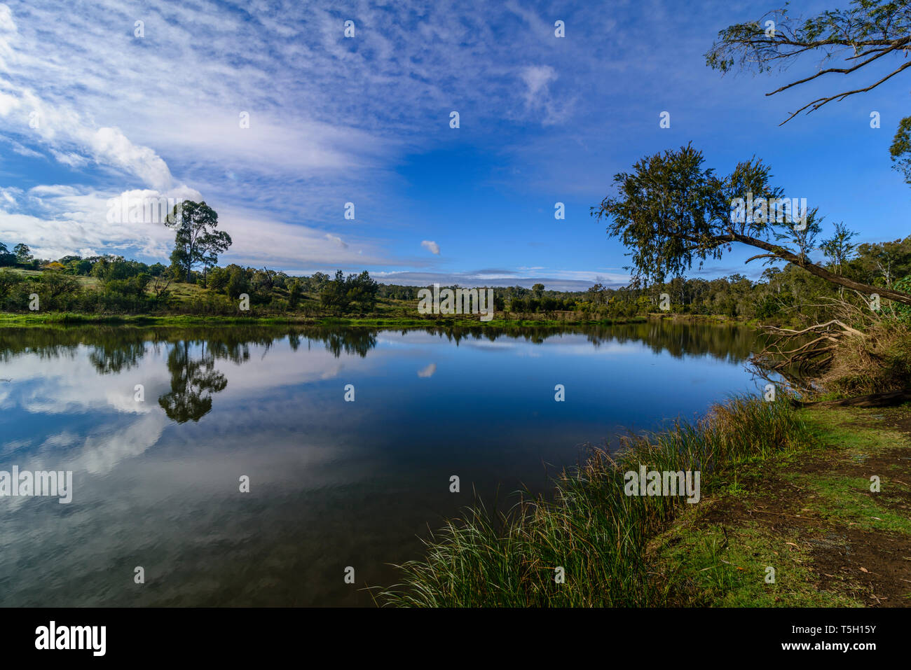 paesaggio fluviale Foto Stock