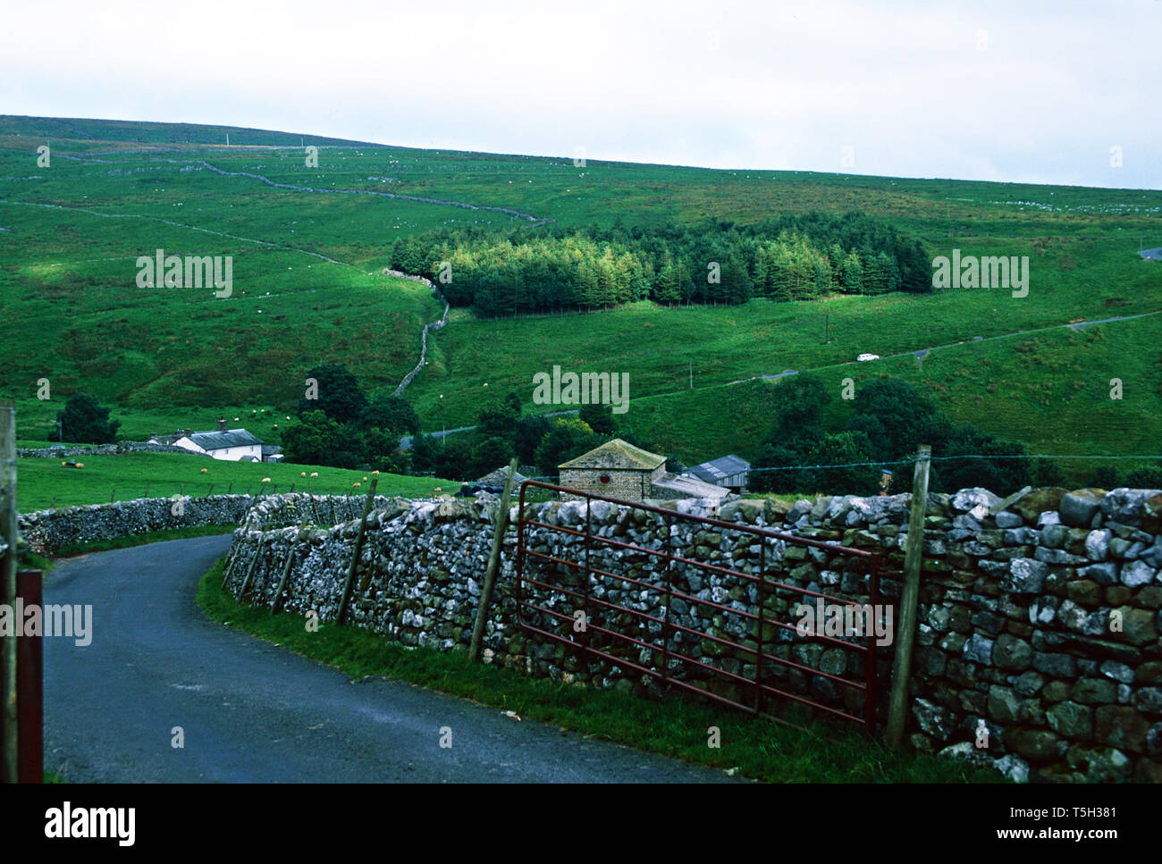 Yorkshire Dales National Park,Inghilterra Foto Stock