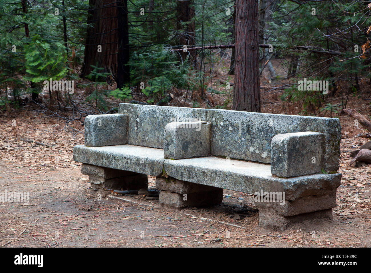 Galen Clark Memorial banco, il Parco Nazionale Yosemite in California Foto Stock