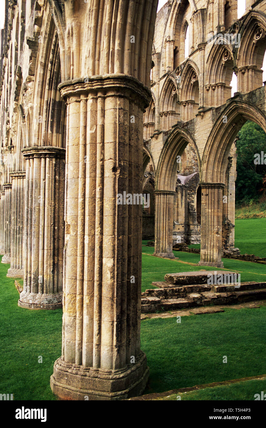 Le colonne e gli archi di Abbazia Riveaulx,Helmsley,Inghilterra Foto Stock
