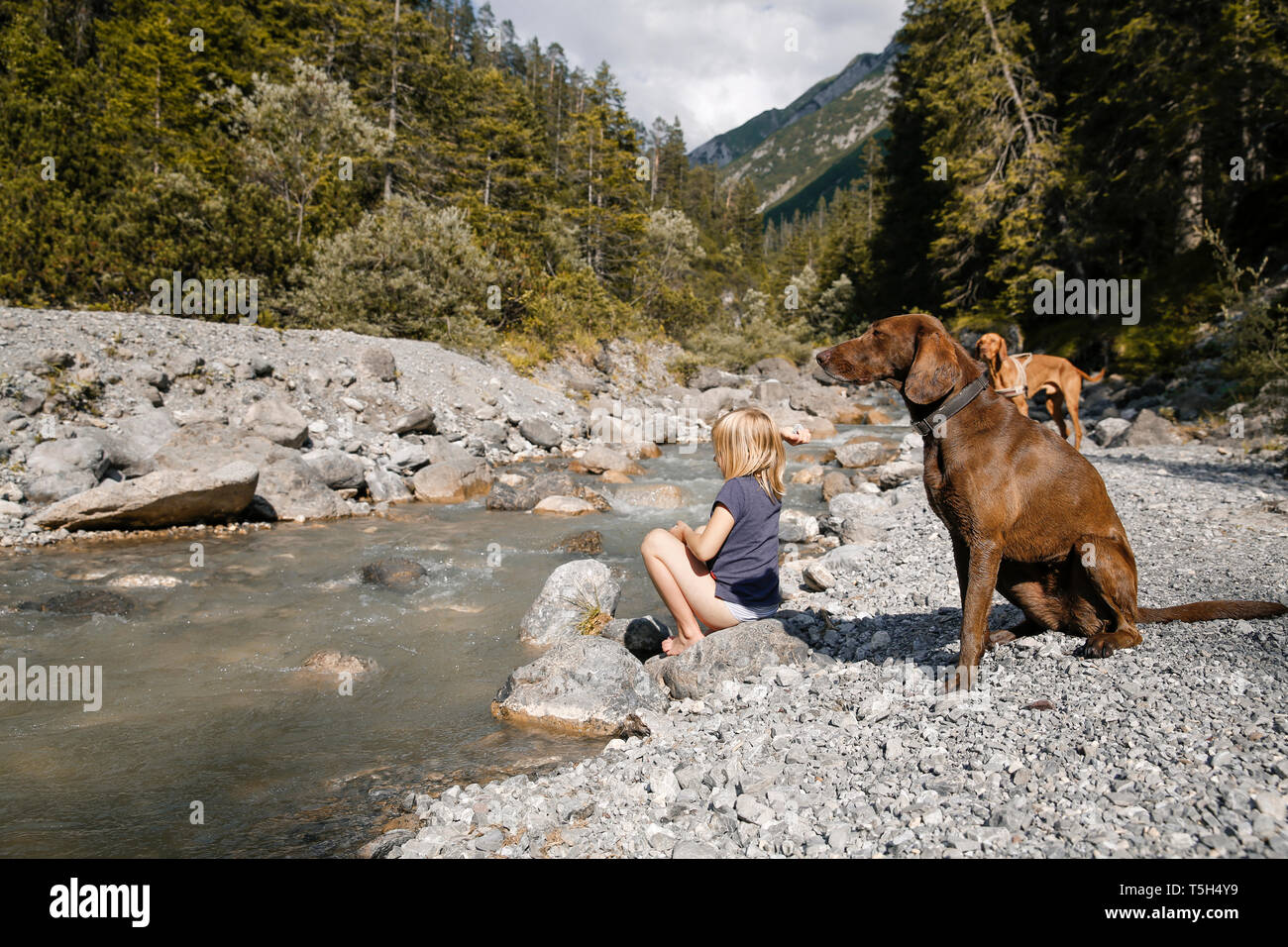 Austria, Tirolo, ragazza con due cani di un ruscello di montagna Foto Stock