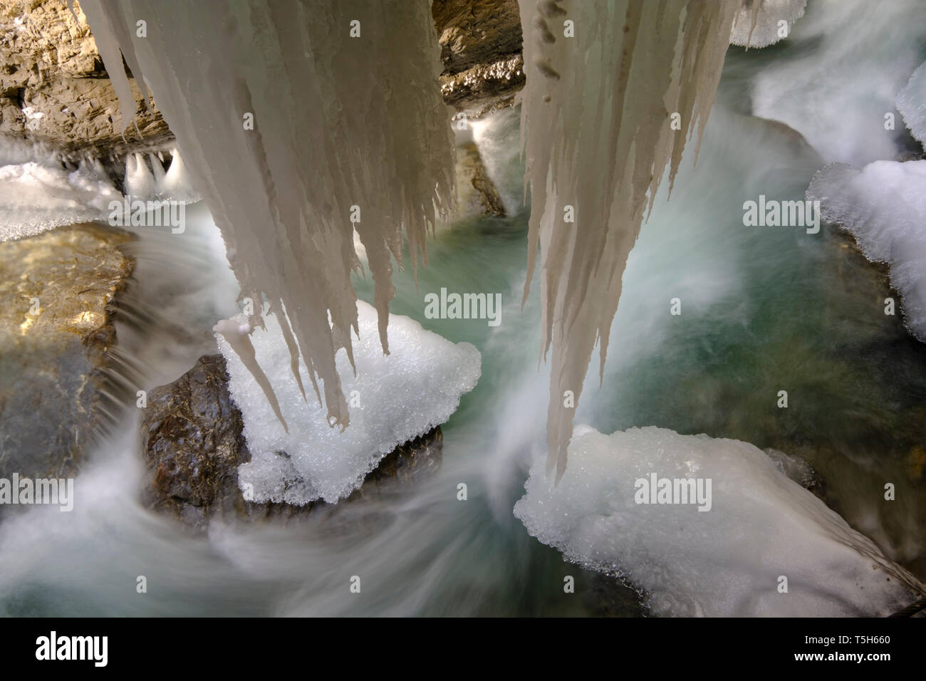 In Germania, in Baviera, Baviera, Werdenfelser Land, Garmisch Partenkirchen, Partnach Gorge, neve e ghiaccio e ghiaccioli Foto Stock