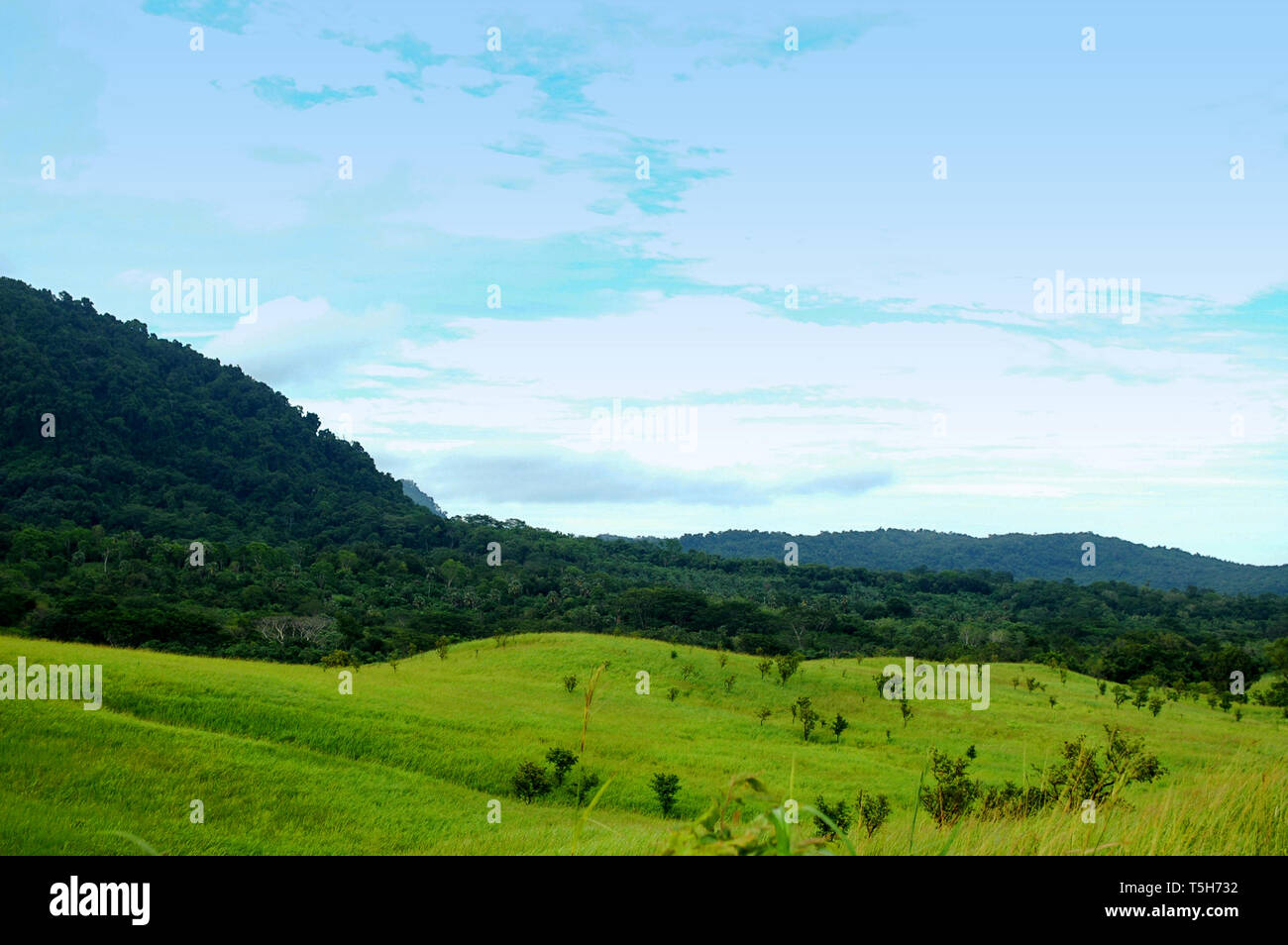 Bellissimi prati vicino Lamanabi Trappista Flores dove i monaci dal percorso della rinuncia di mantenere il monastero self solidale aiutando gli altri. Foto Stock
