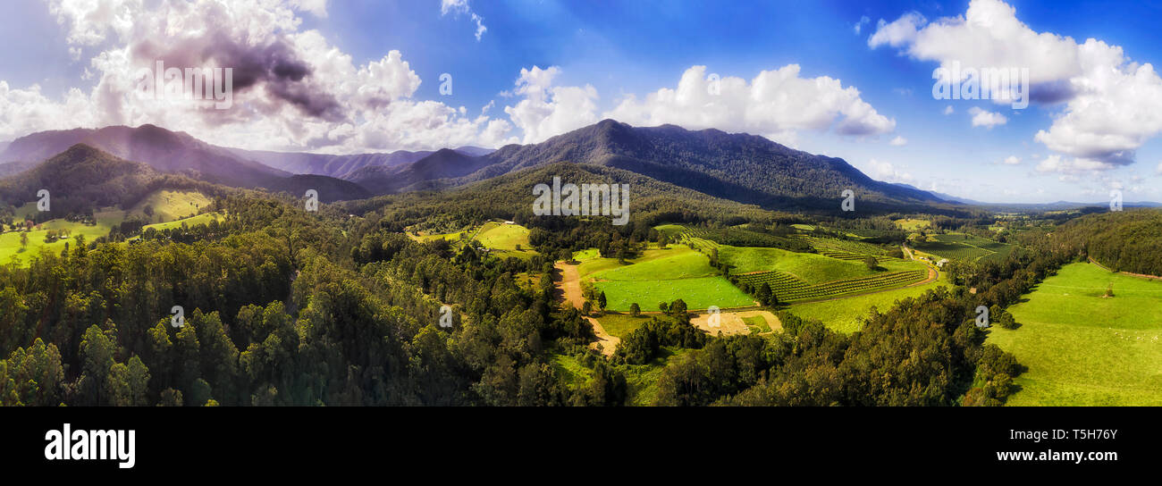 Dorrigo parco nazionale e le gamme della montagna oltre il fiume Bellinger e valle circostante con vegetazione verde fattorie che producono frutta e noci - una elevata Foto Stock