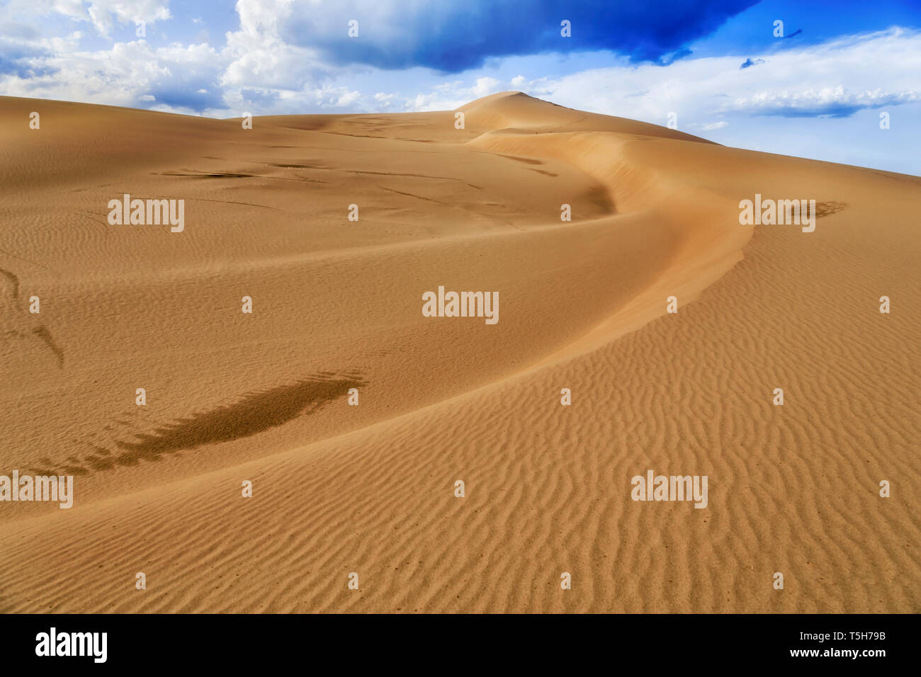 Esanime interminabili dune di sabbia sotto il cielo blu con stormy cloud computing con la luce del sole e la forte modello sulla superficie del terreno da erosione di vento. Foto Stock