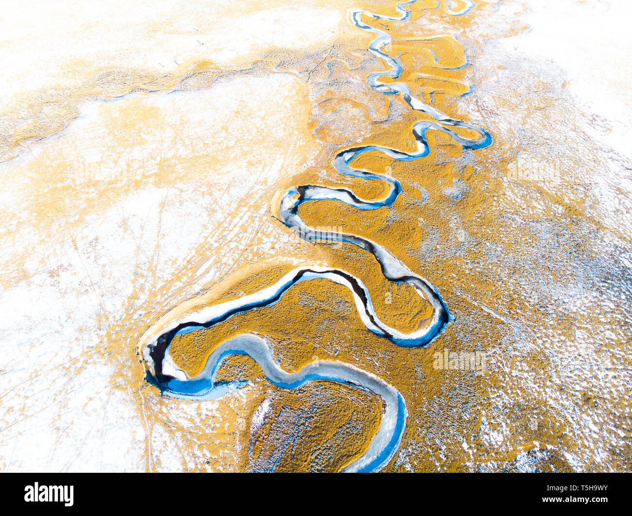 Il fiume di avvolgimento in campo giallo, Colorado Foto Stock