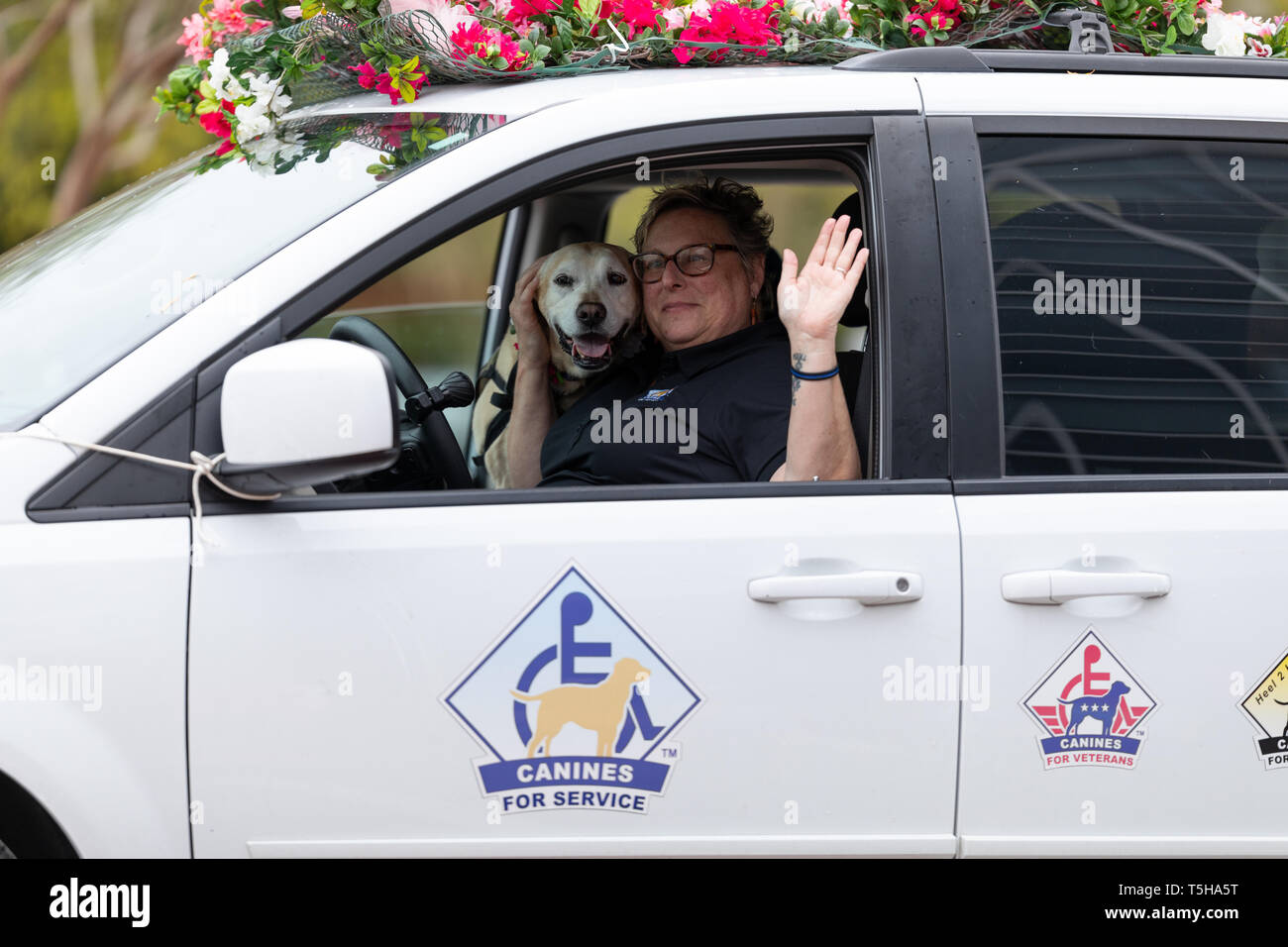 Wilmington, Carolina del Nord, Stati Uniti d'America - Aprile 6, 2019: Il North Carolina Azalea Festival, Canini per veterani, cani di servizio, andando verso il basso 3a strada durante Foto Stock