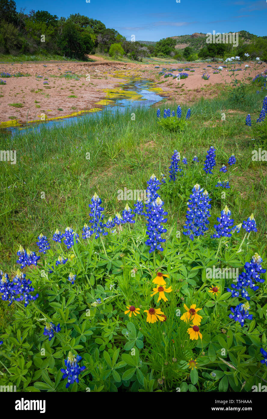 Il Texas Hill Country è un venticinque county regione del Texas centrale e sud del Texas. Foto Stock