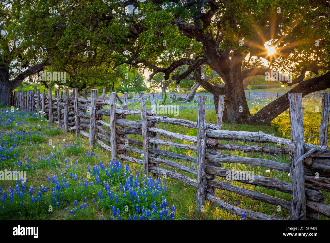 Il Texas Hill Country è un venticinque county regione del Texas centrale e sud del Texas dotato di topografia carsica e alte aspre colline costituito da Foto Stock