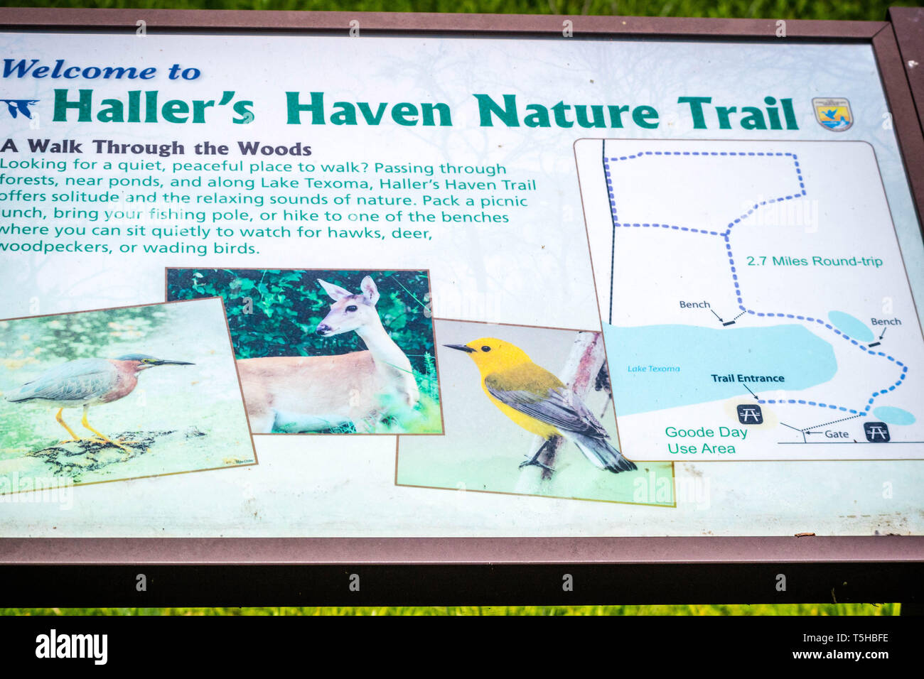 Hagerman Wildlife Refuge, TX, Stati Uniti d'America - 6 Maggio 2018: un dettagliato piano grafico per Haller Paradiso del sentiero natura Foto Stock