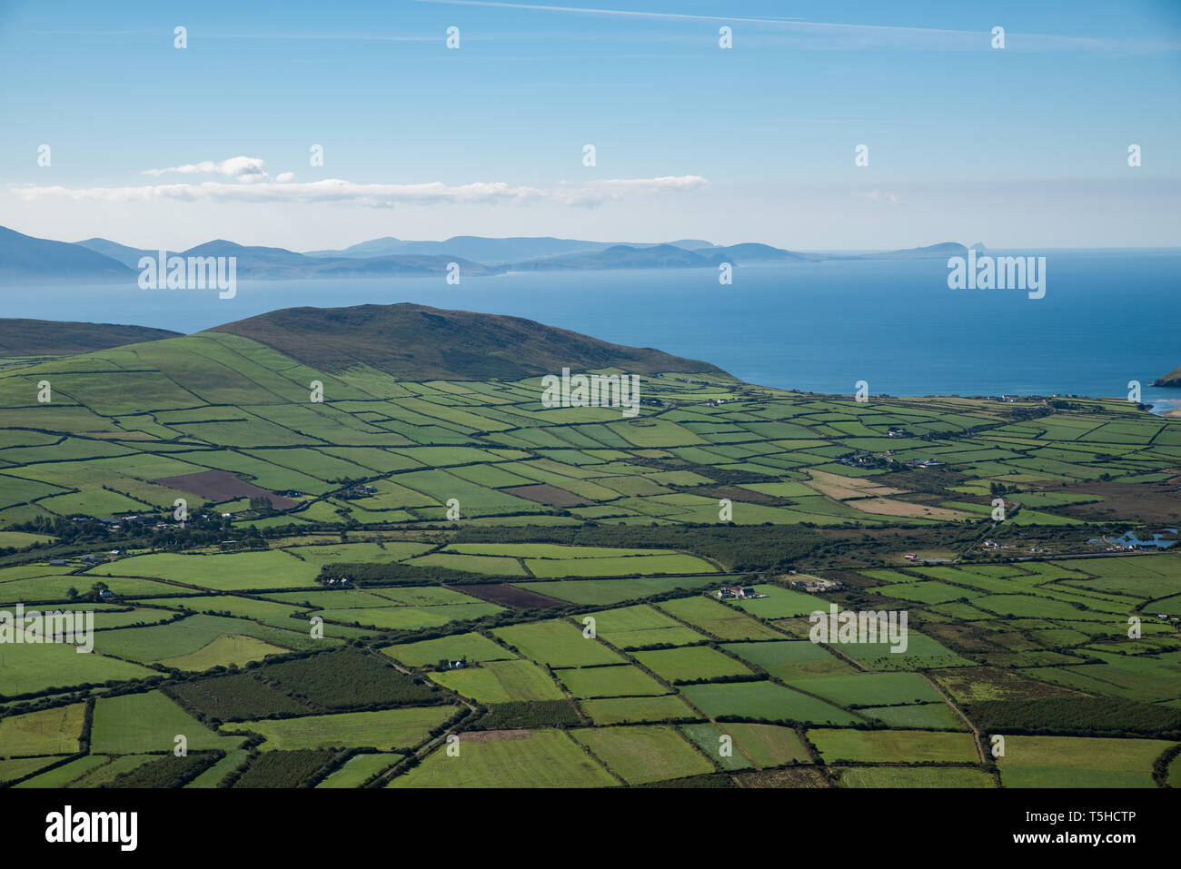Felder getrennt durch Hecken in der Grafschaft Kerry, Irlanda. / Campi separati da siepi, Co. Kerry, Irlanda. Foto Stock
