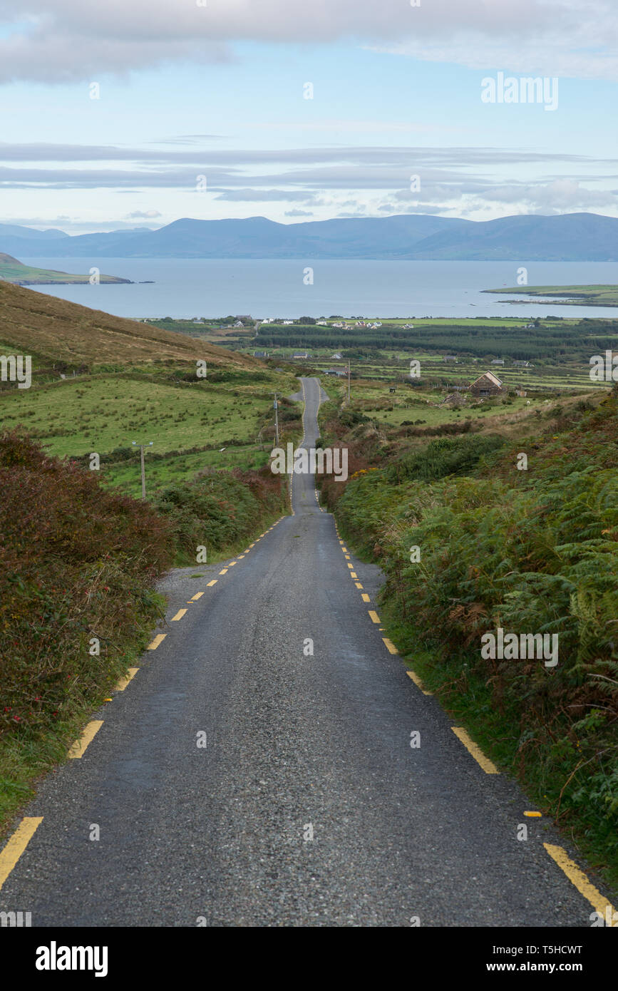 Landstraße in der Grafschaft Kerry, Irlanda. / County road nella Contea di Kerry con la penisola di Inveragh nella distanza, Irlanda. Foto Stock