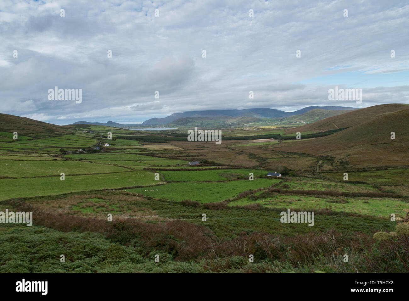 Landschaft in West Kerry - oder Zurück West, wie die Einheimischen es nennen - Irlanda. / Paesaggio nel West Kerry - o torna a Ovest come la gente del posto chiama. Foto Stock