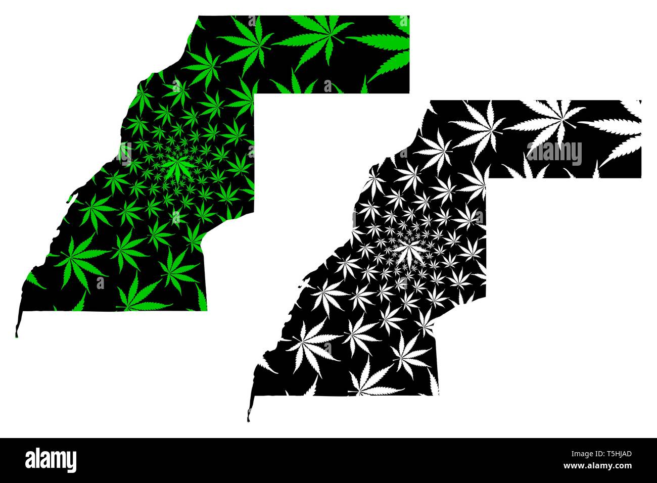 Il Sahara occidentale - mappa è progettato Cannabis leaf verde e nero, Sahara Occidentale (SADR) mappa fatta di marijuana (marihuana,THC) Fogliame, Illustrazione Vettoriale
