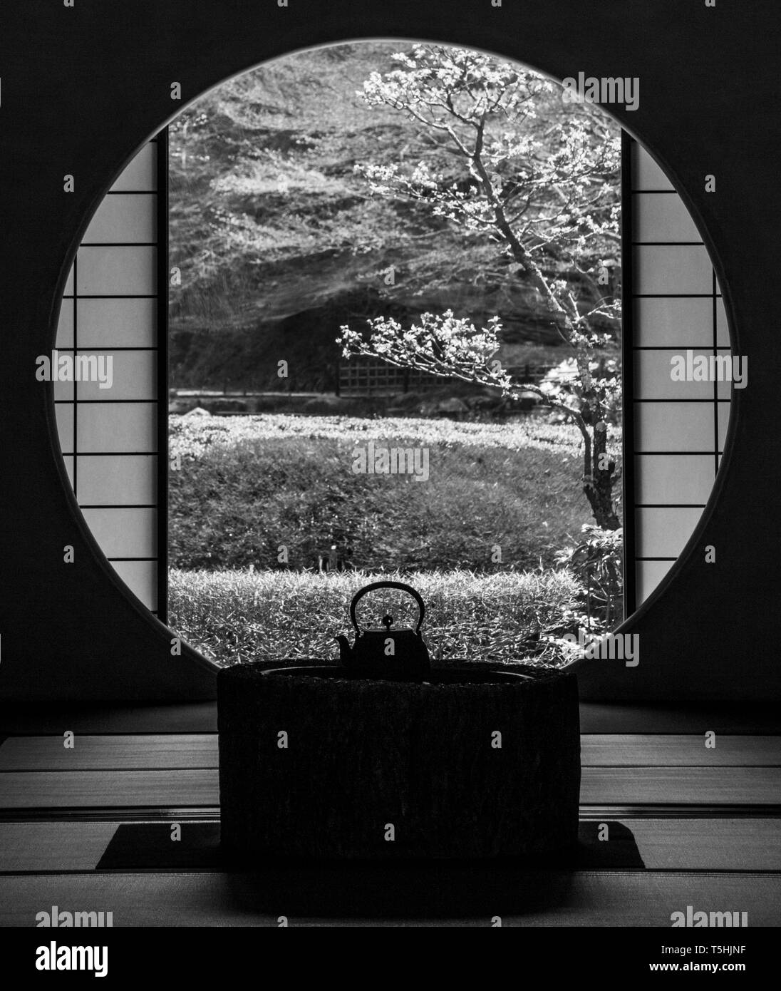 Teiera in un giardino giapponese in Giappone Foto Stock
