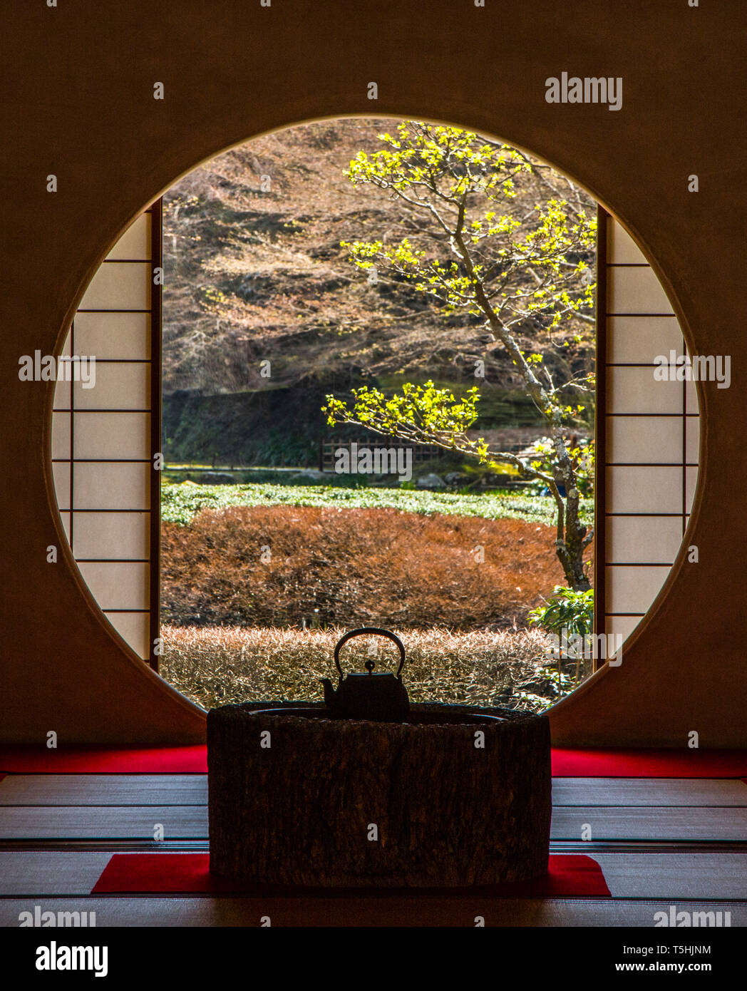 Teiera in un giardino giapponese in Giappone Foto Stock