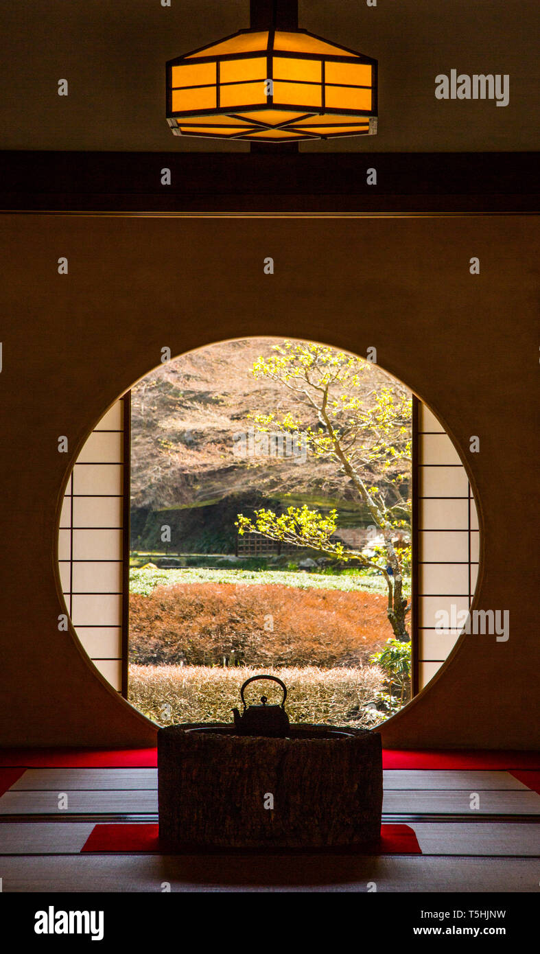 Teiera in un giardino giapponese in Giappone Foto Stock