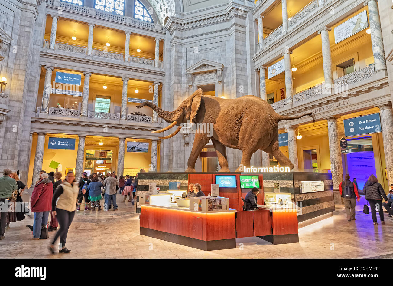 Lo Smithsonian, il Museo di Storia Naturale al banco informazioni a Washington DC, Stati Uniti d'America Foto Stock