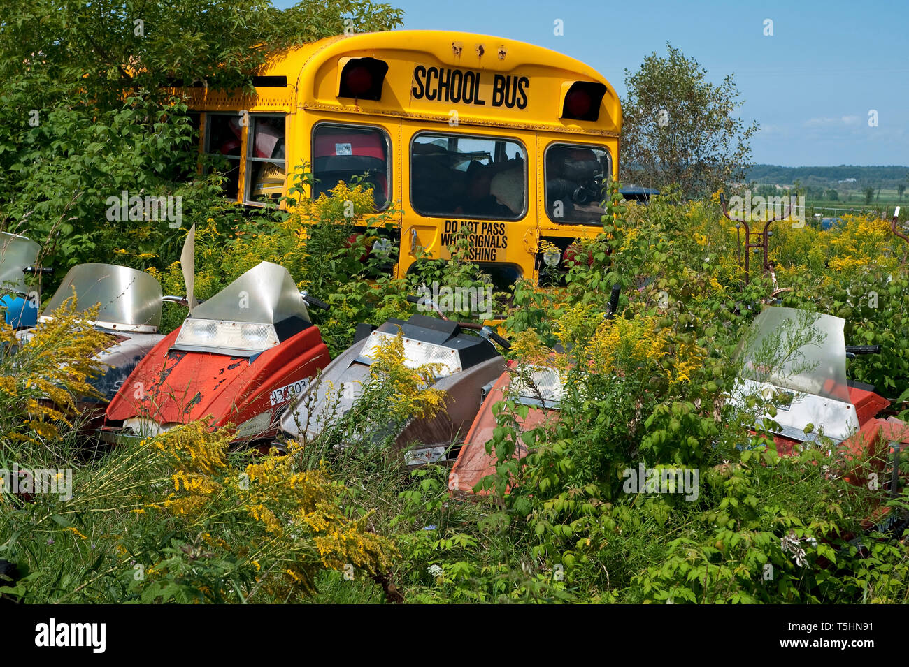 Abbandonato motoslitte e bus di scuola. Un campo di erbacce e cespugli è adesso casa abbandonata motoslitte e un bus di scuola. Foto Stock