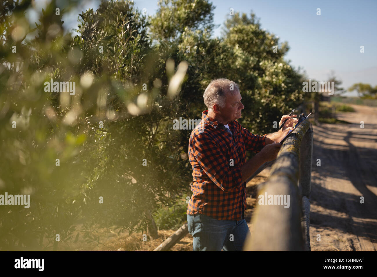 Senior maschili imprenditore iscritto a notepad mentre sta in piedi in una fattoria in una giornata di sole Foto Stock